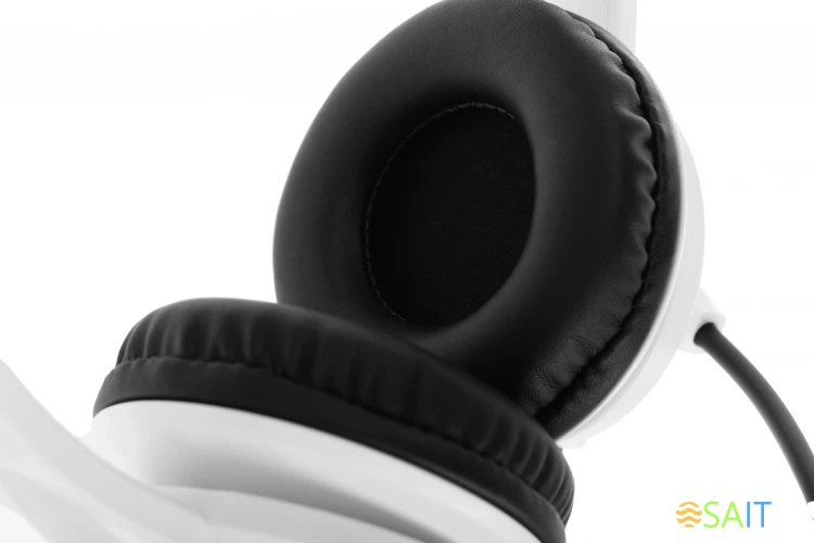 Наушники с микрофоном A4Tech HU-10 черный/белый 2м накладные USB оголовье (HU-10/USB/BLACK+WHITE)