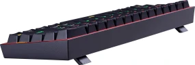 Клавиатура Redragon Fizz механическая черный USB Multimedia for gamer LED (72595) кабель 1.8м