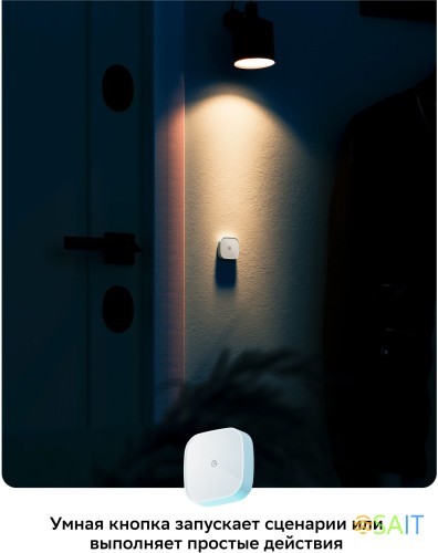 Умная кнопка Sber SBDV-00032 р.д.22м белый